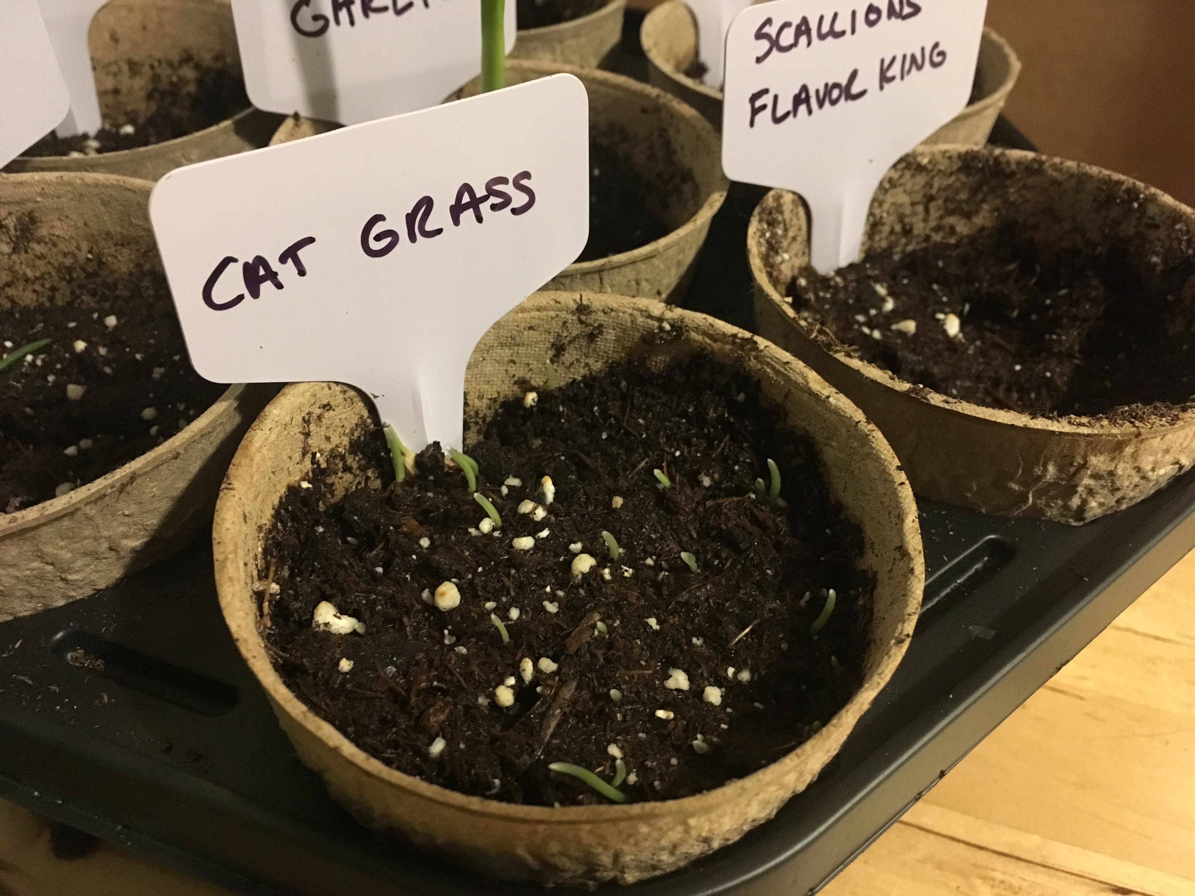 2018-02-16 20.55.16.jpg