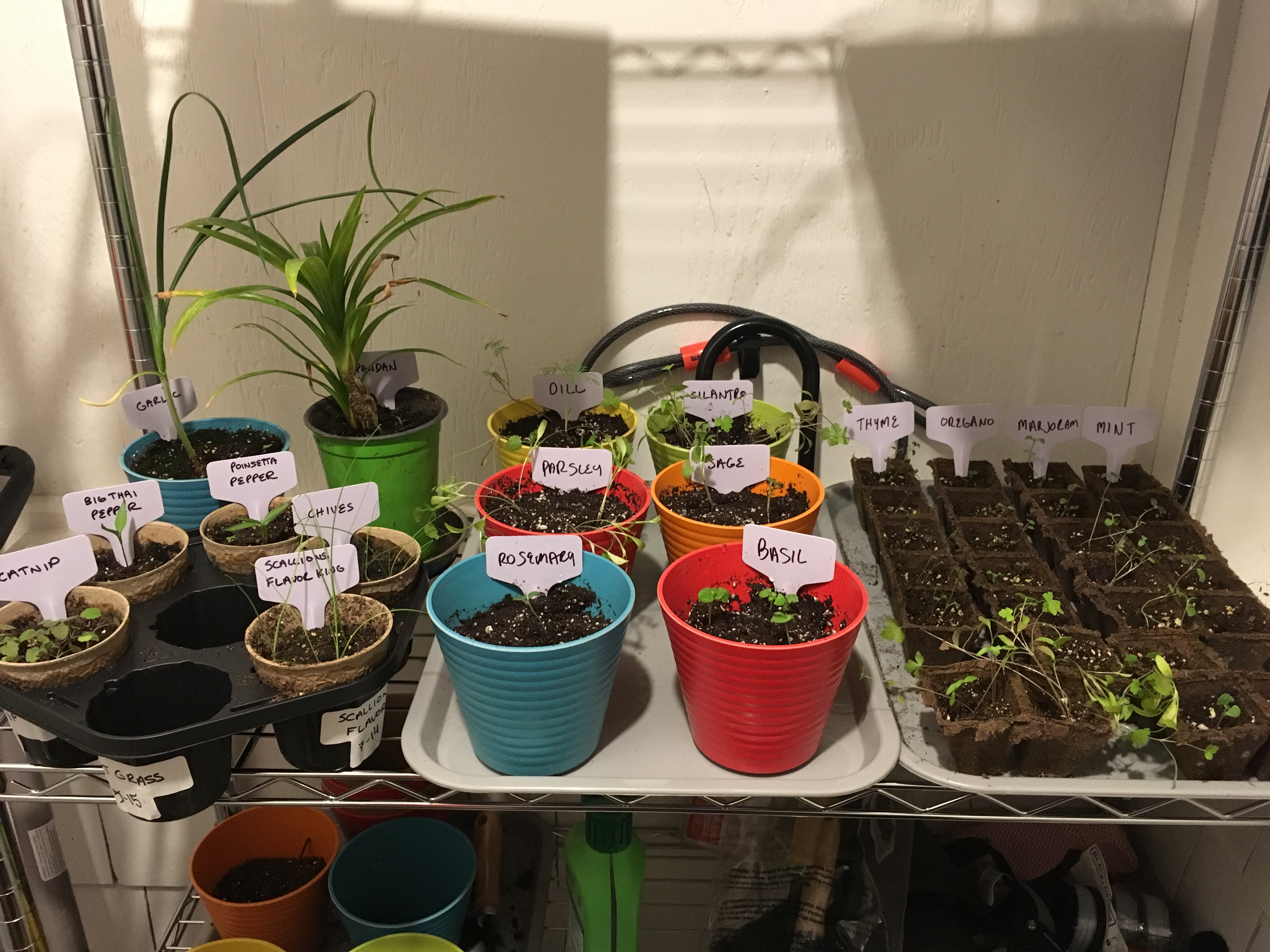2018-03-25 22.07.39.jpg