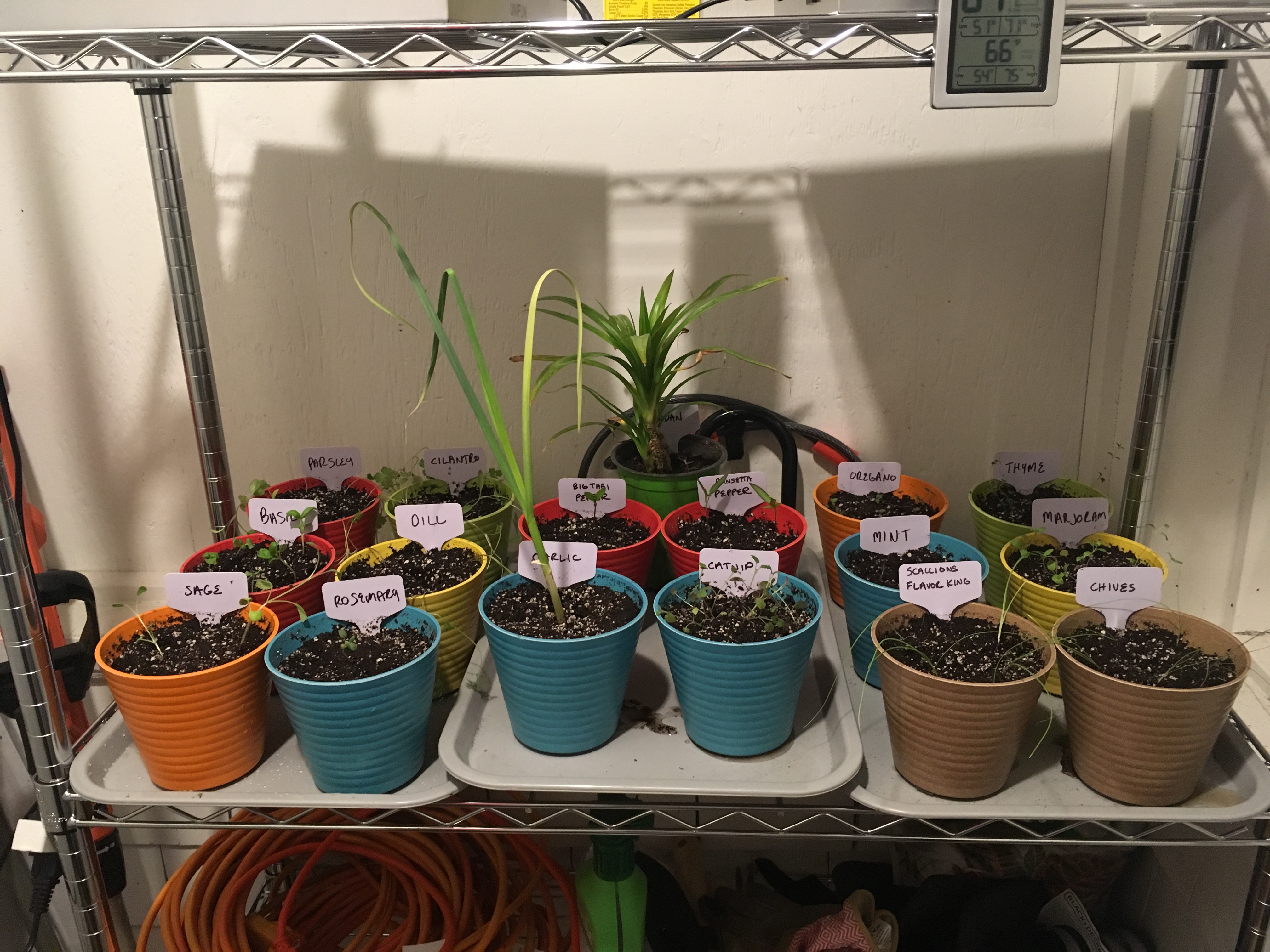 2018-04-01 21.27.57.jpg